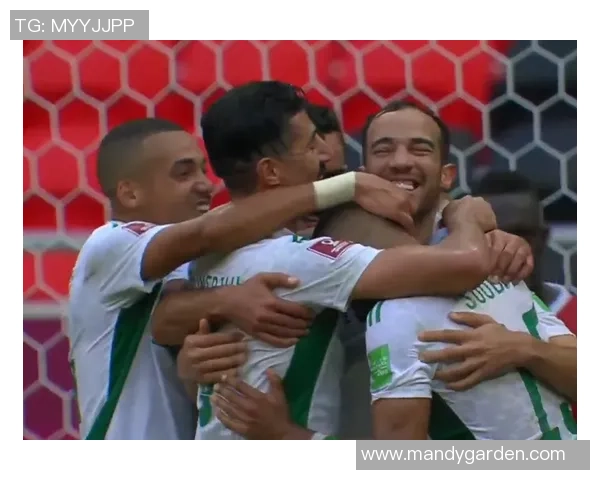 瑞士军刀锋芒毕露以2-0战胜阿尔及利亚展现强大实力